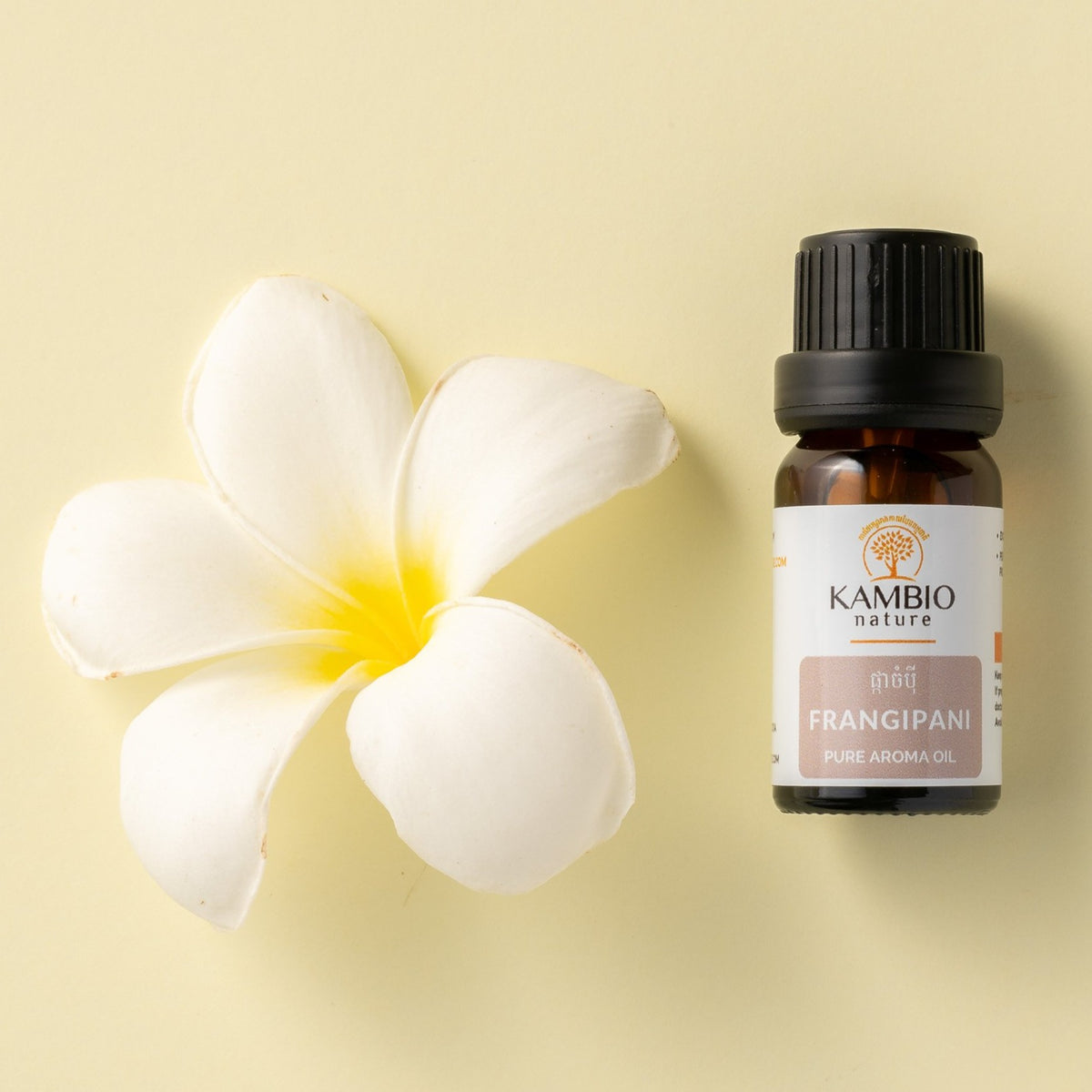 FRANGIPANI FRESH - the impossible oil, made fresh! — AromaSublime