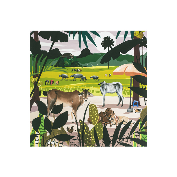 Tamara Venn Cambodia Postcards - Animals & Nature