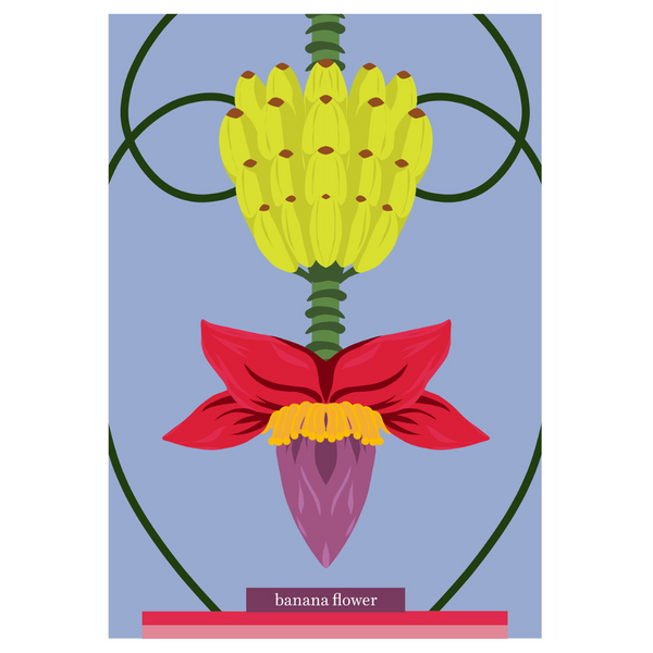 Botanical Postcards